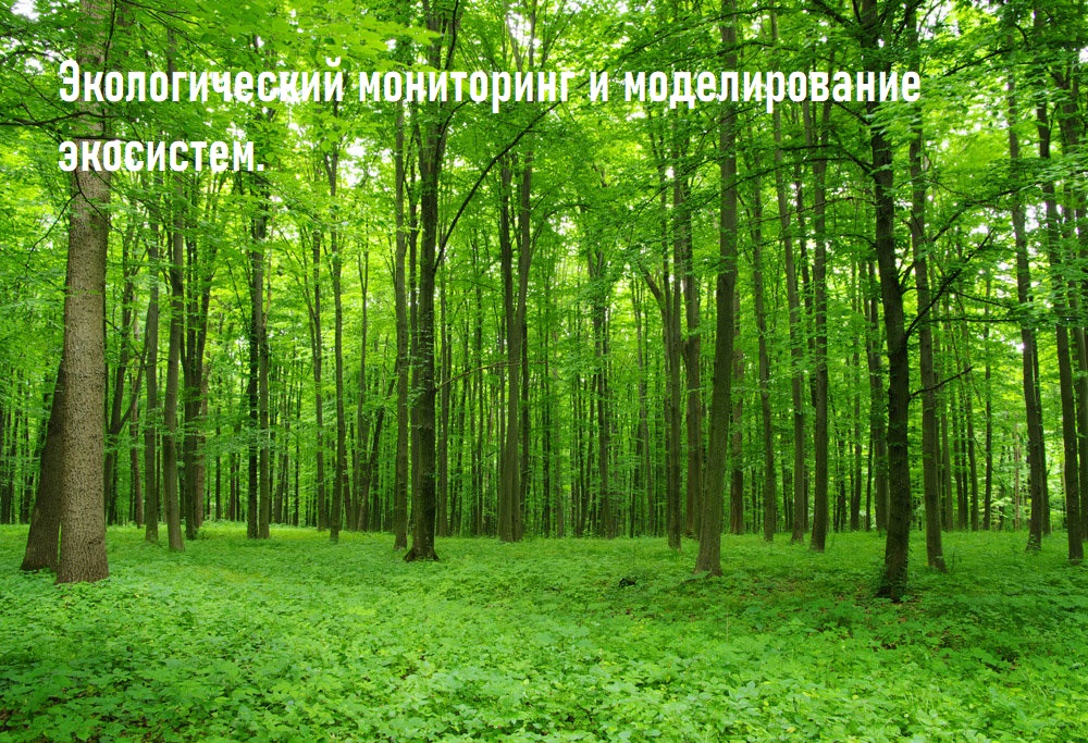 ЭММЭ